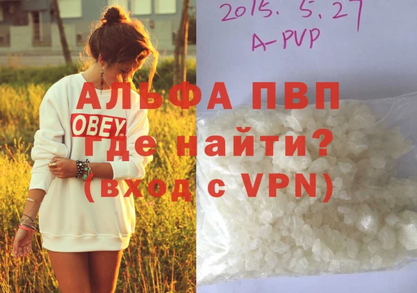 PSILOCYBIN Семикаракорск
