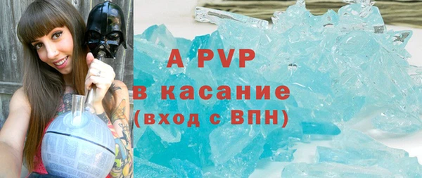 амф Снежногорск