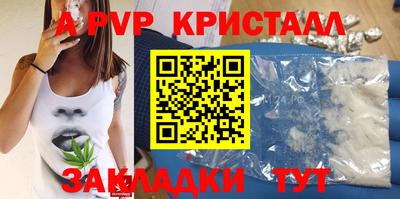 стаф Краснодар