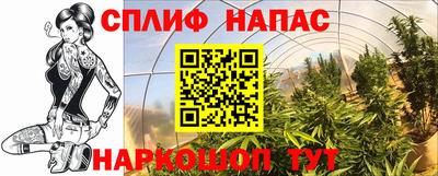 гидропоника Краснознаменск