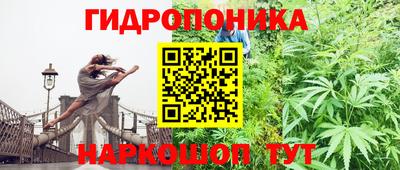 гидропоника Краснознаменск