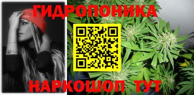 гидропоника Краснознаменск
