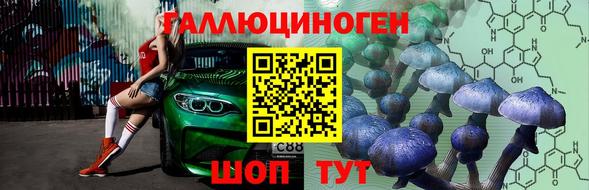 Псилоцибиновые грибы GOLDEN TEACHER  Вход с VPN  Зеленодольск  Галлюциногенные грибы Cubensis 
